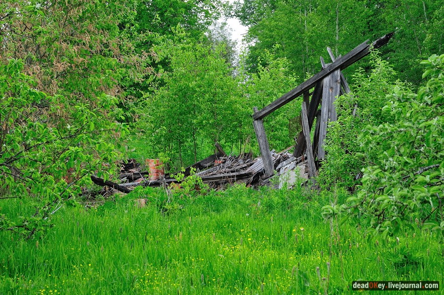 усадьба Спасское