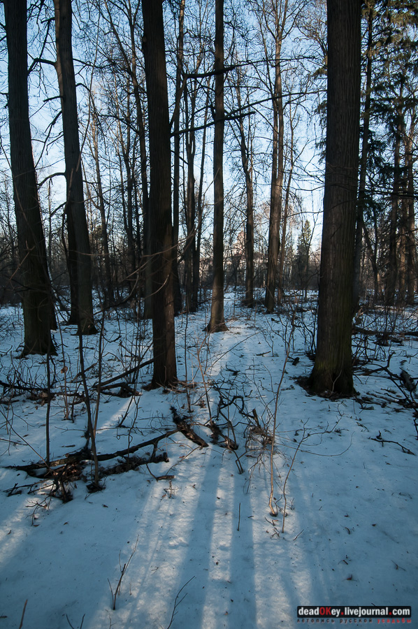 усадьба Виноградово