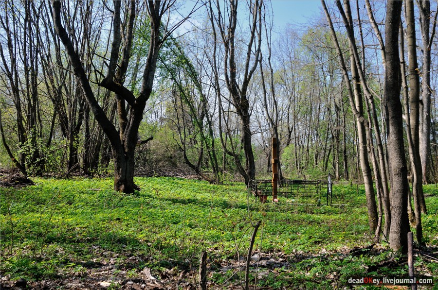 усадьба Андреевское-Туркино (Перематкино)