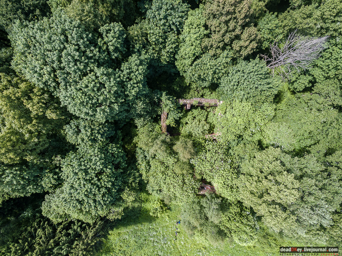 усадьба Верзилово, аукцион 19 июля, съемка с квадрокоптера