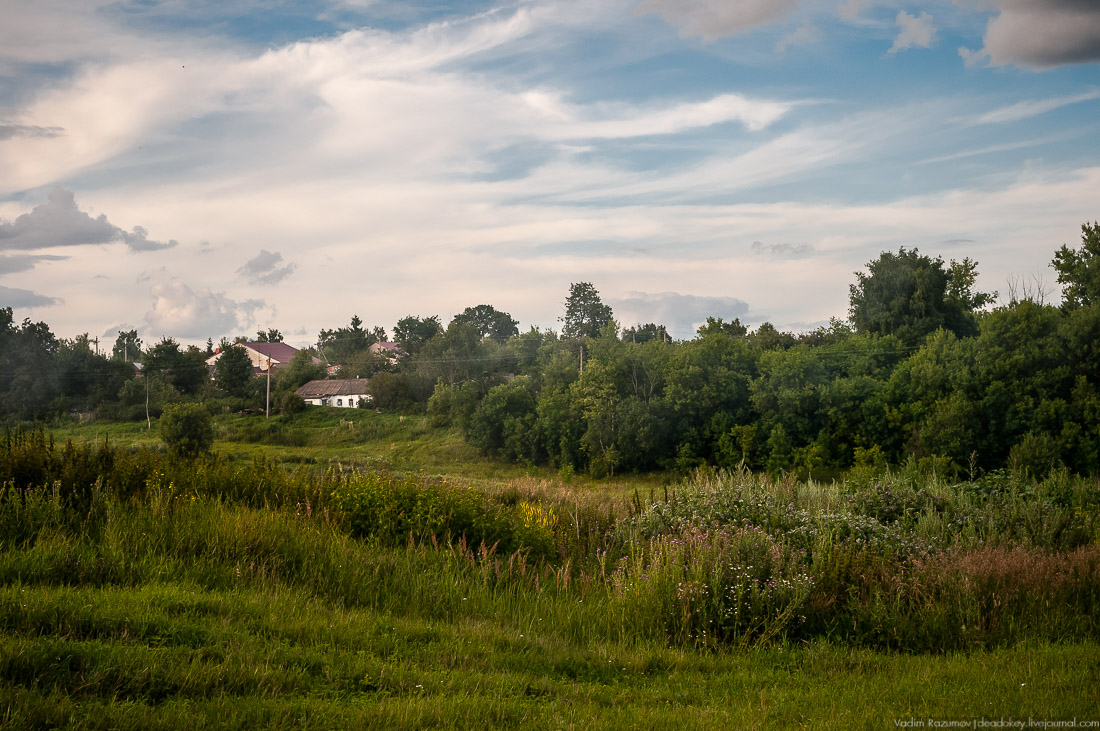 усадьба Озерки