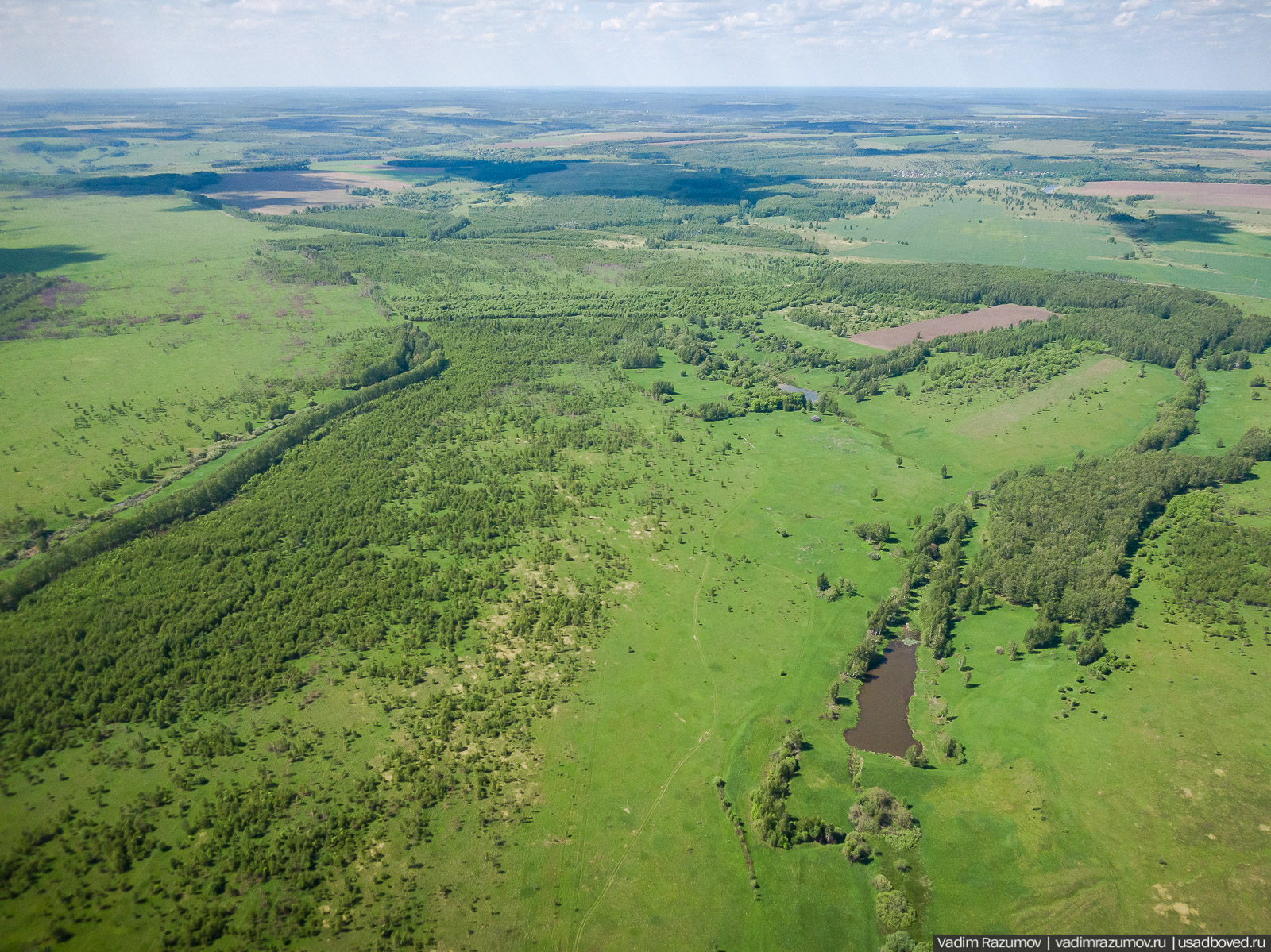 Старое Глазово, могила Василия Баженова, 2021 год