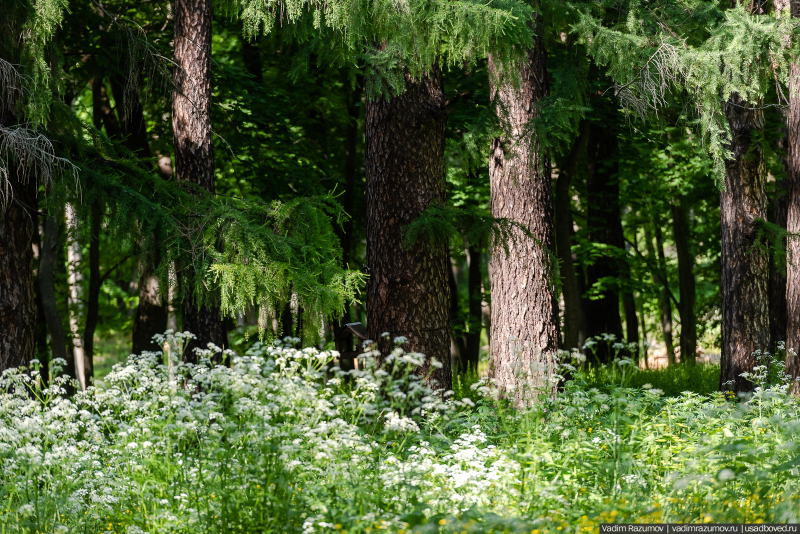 Богородицк, Тульская область