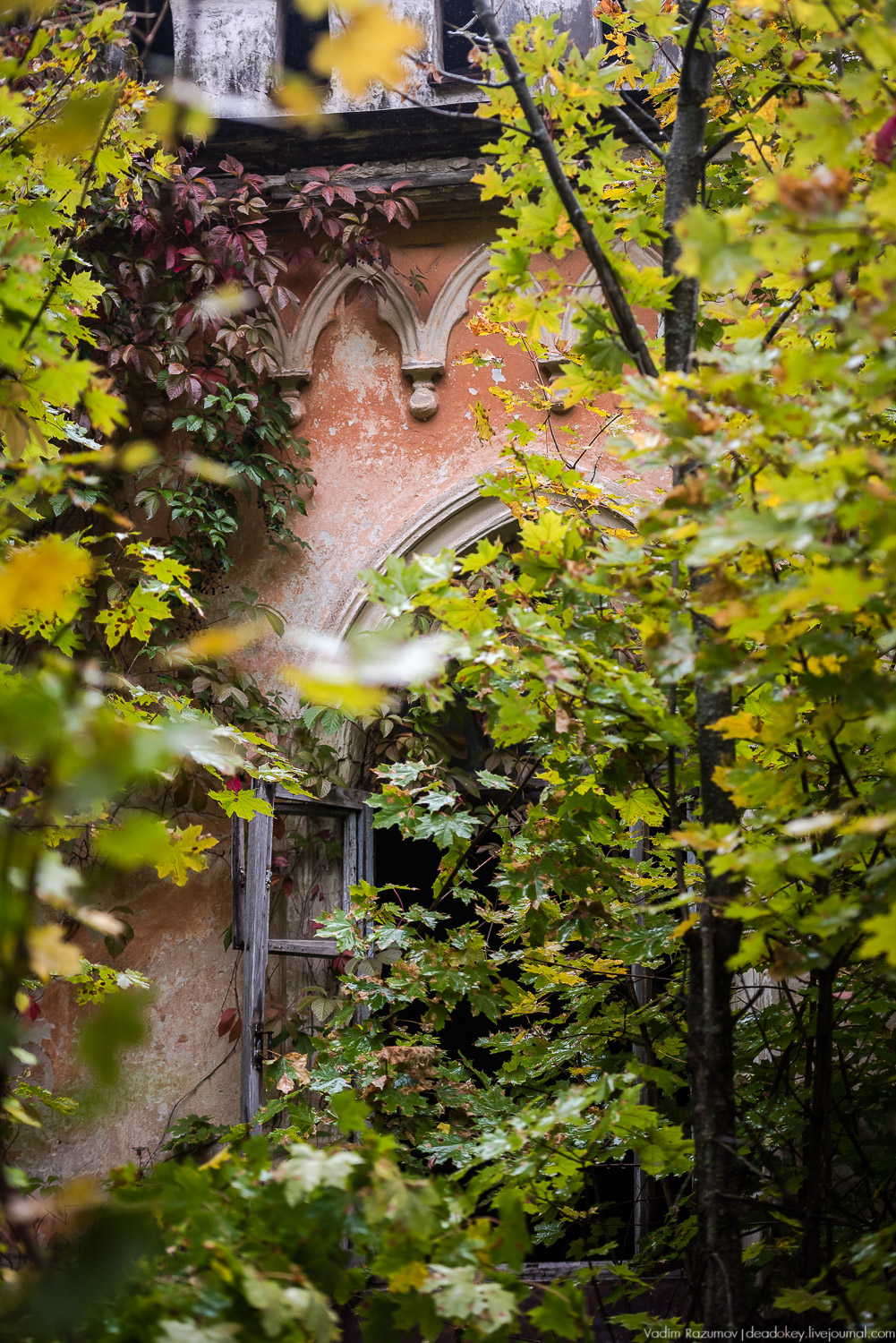 Липецкая область, усадьбы, инвестблогтур 