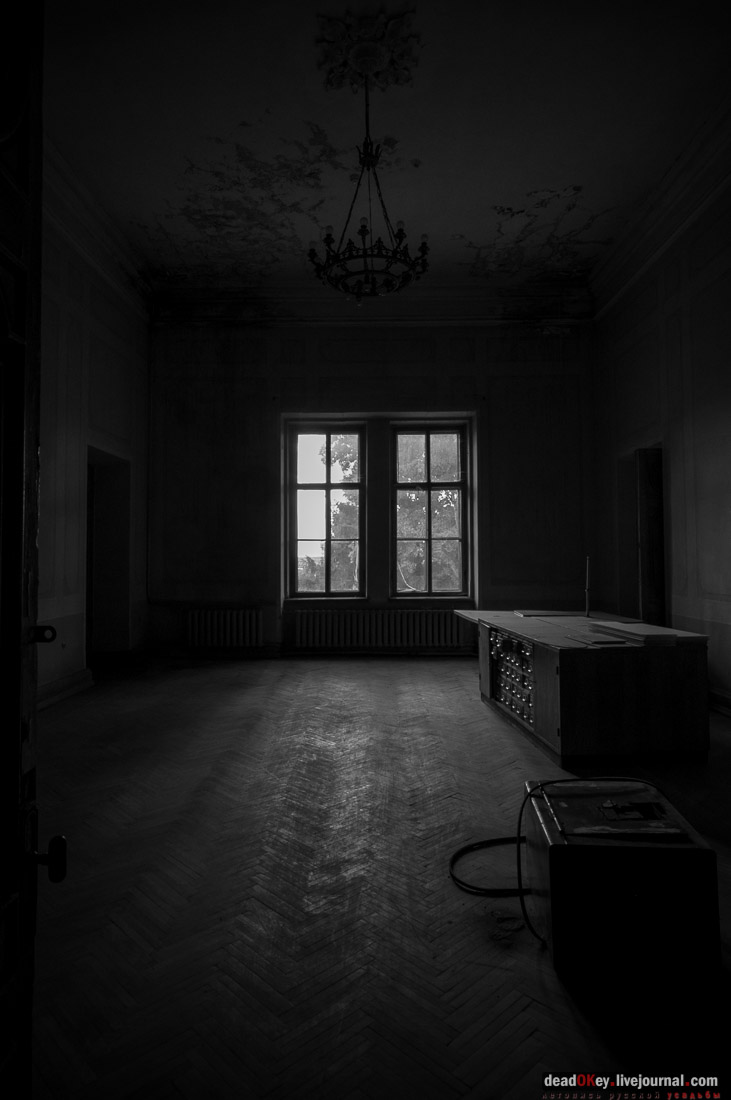 усадьба Быково, встреча волонтеров 20-го сентября