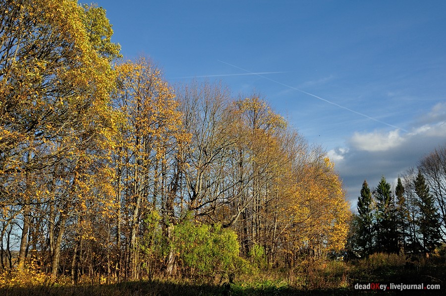 усадьба Дубровка (Мансурово)