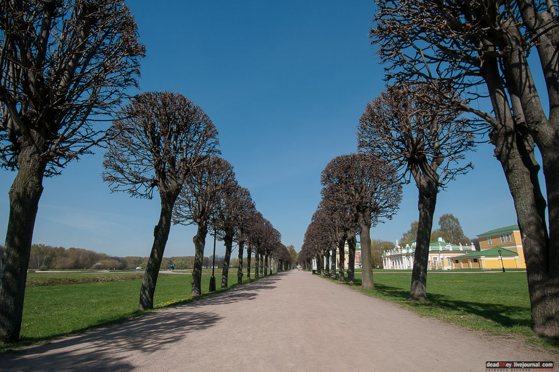 усадьба Кусково