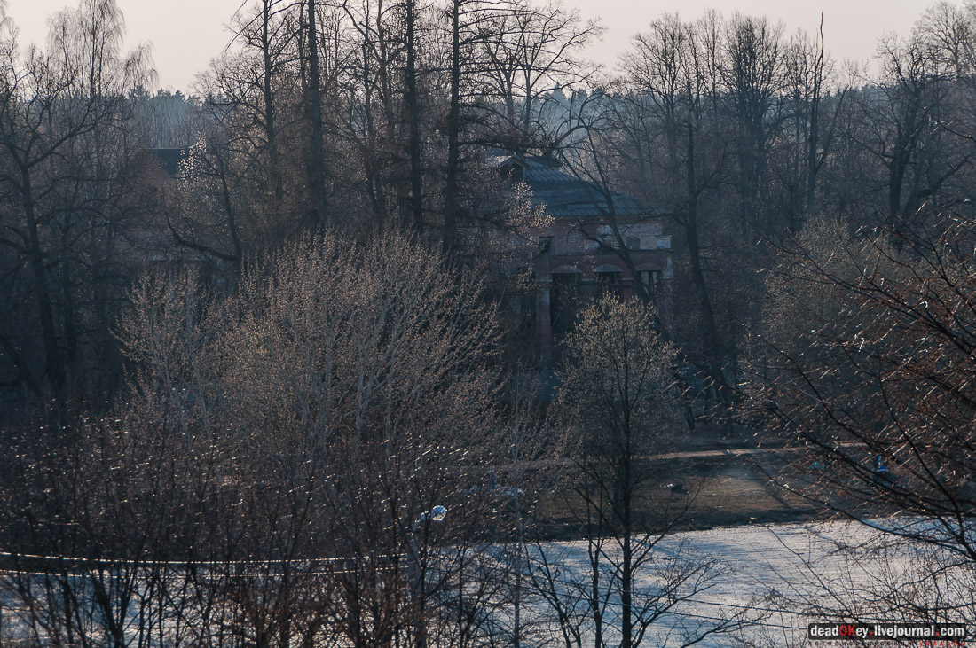 усадьба Никольское-Урюпино храм