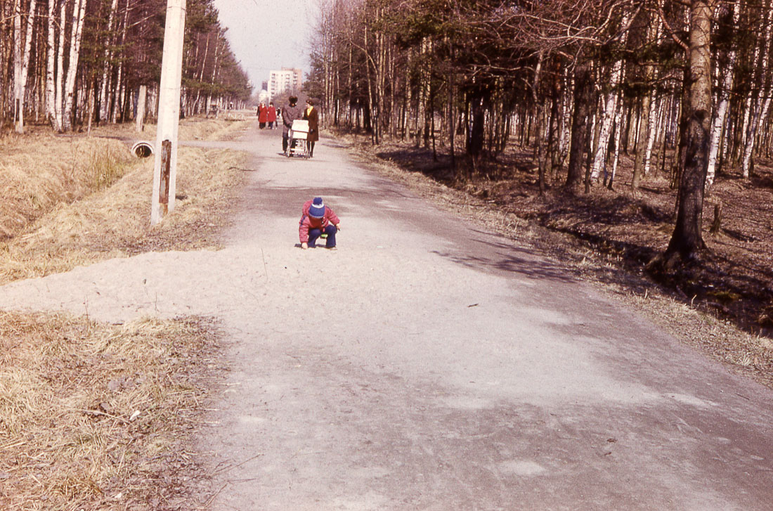 усадьба Александрино, Петергофская дорога, г. Санкт-Петербург