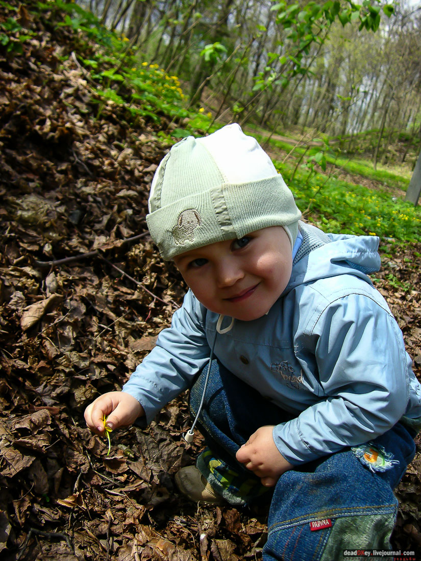 Никольское-Архангельское