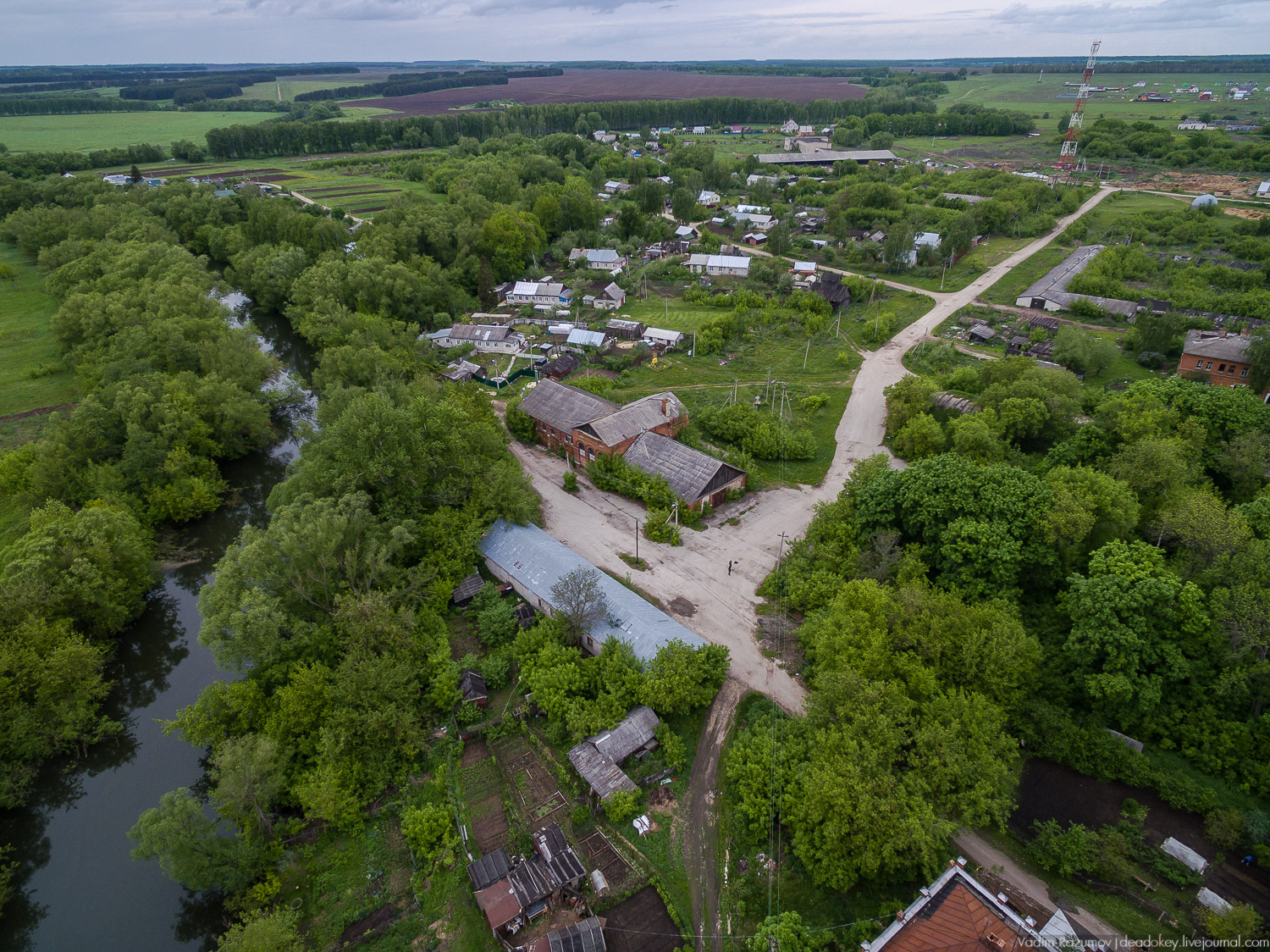 усадьба Старожилово, конезавод