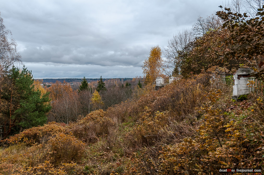 Усадьба Любвино