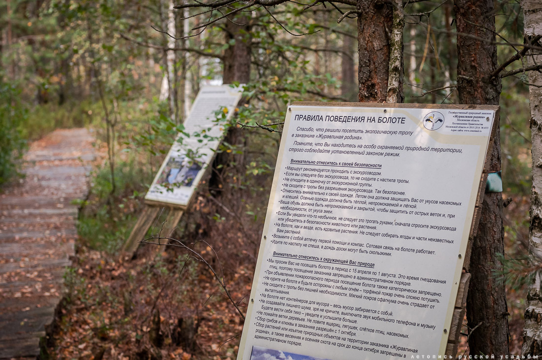 Экоэлектричка на родину журавлей в Талдомский район
