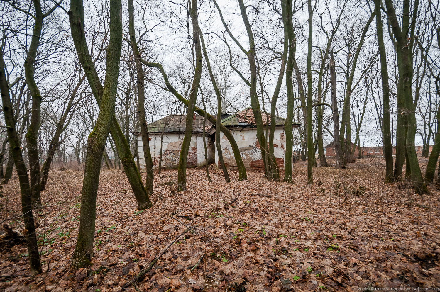 усадьба Троекурово, Липецкая область, Лебедянский район