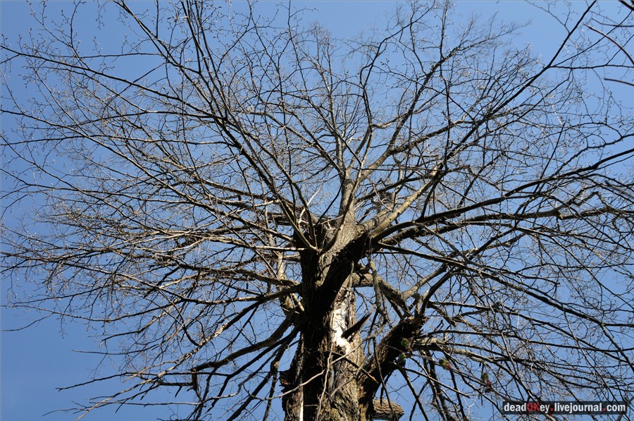 усадьба Андреевское-Туркино (Перематкино)