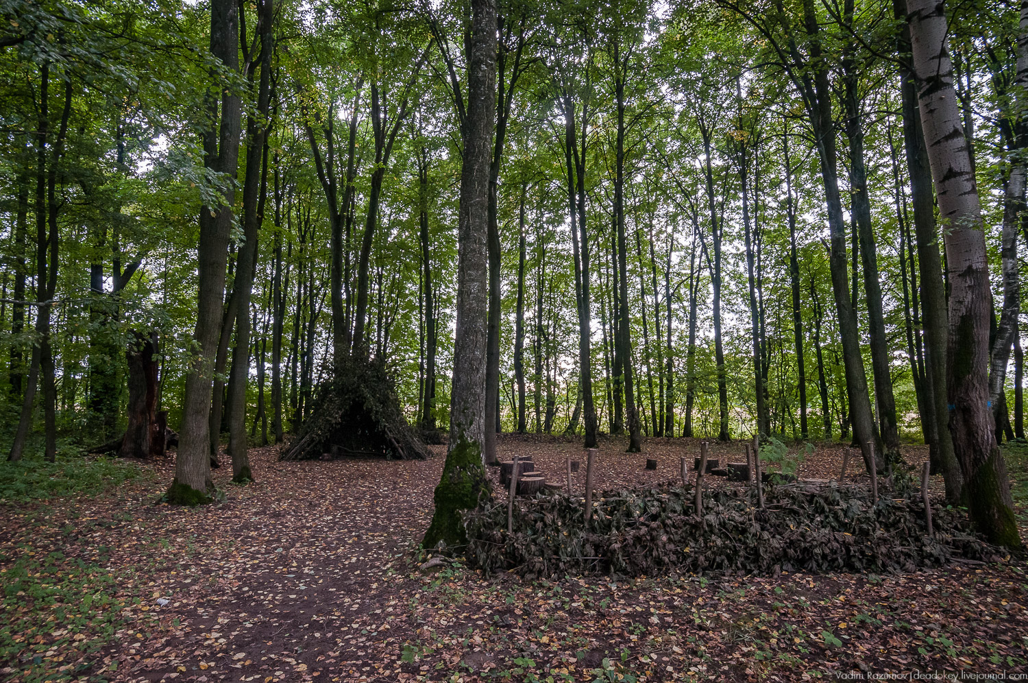 усадьба Даровое, Зарайский район, Ф.М. Достоевский