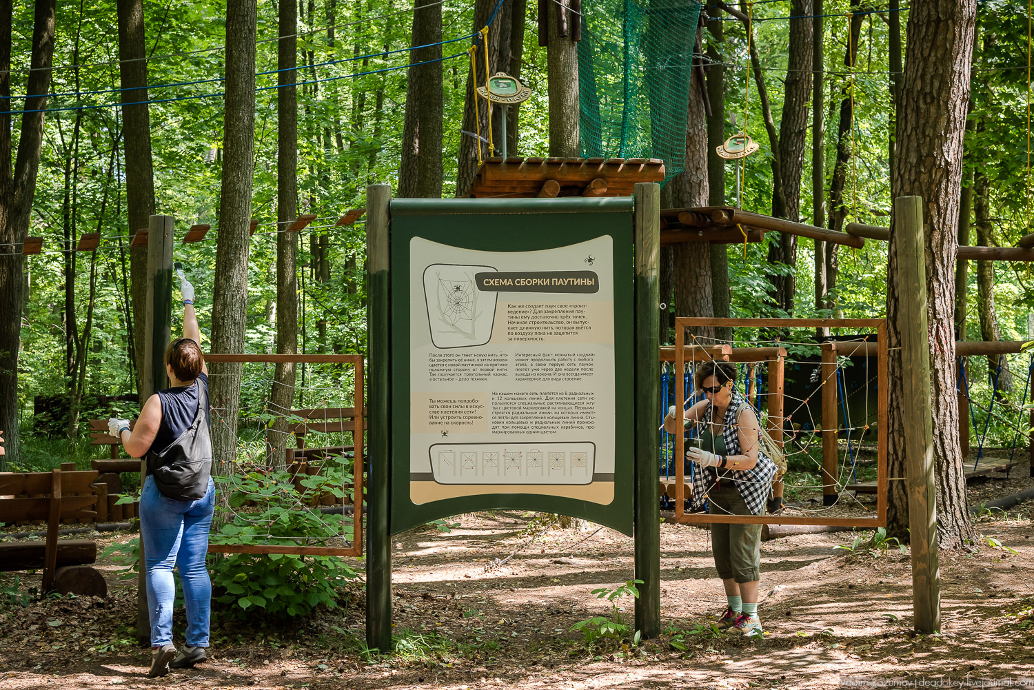 Экоэлектричка. Волонтерский поезд к зубрам в Приокский террасный заповедник