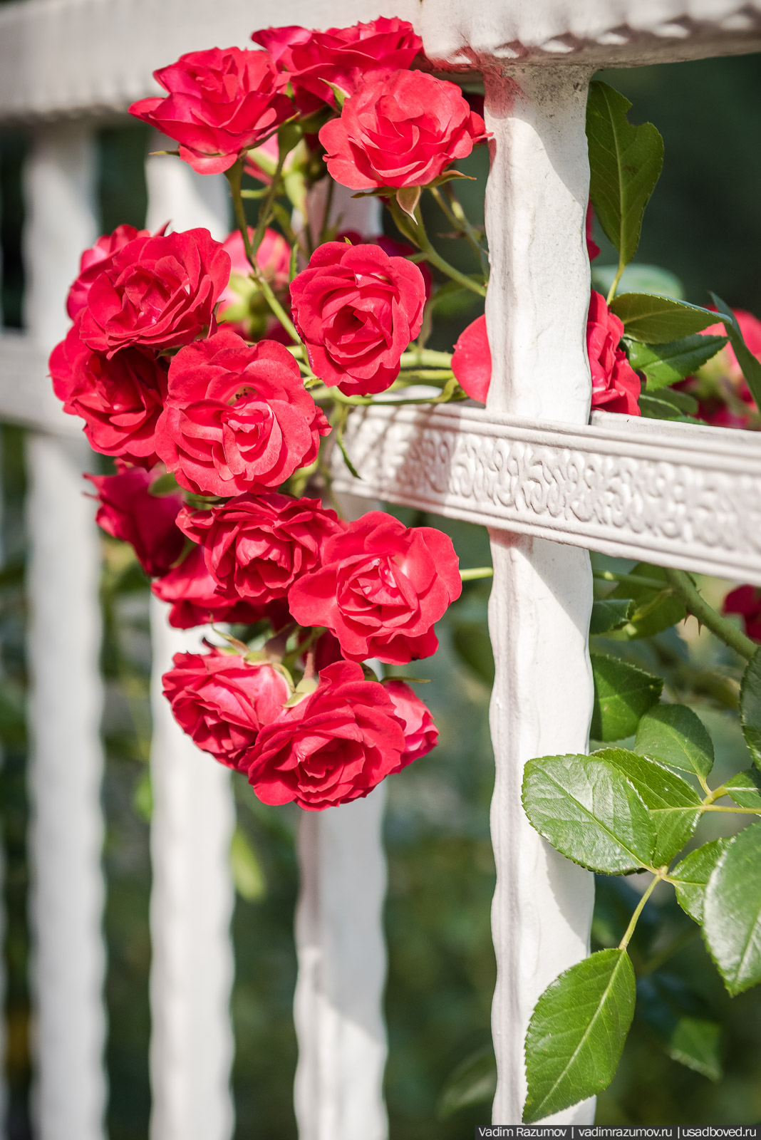 усадьба Кесслеров-Ферсмана, Крым, Симферополь