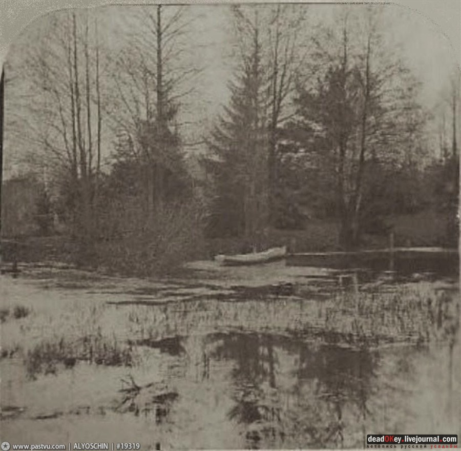 усадьба Петровское-Разумовское