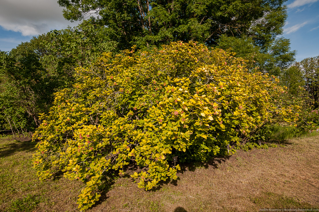 усадьба Барсуково
