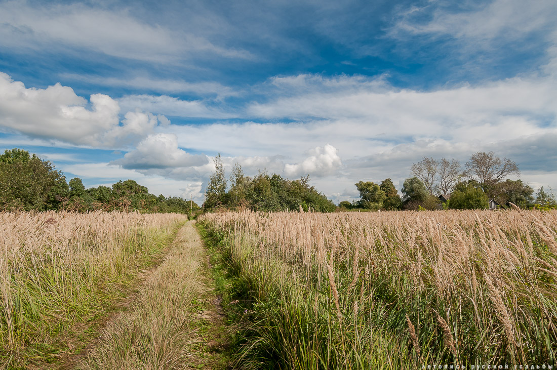 церковь Богородицы в селе Пет, Рязанская область, Пителинский район
