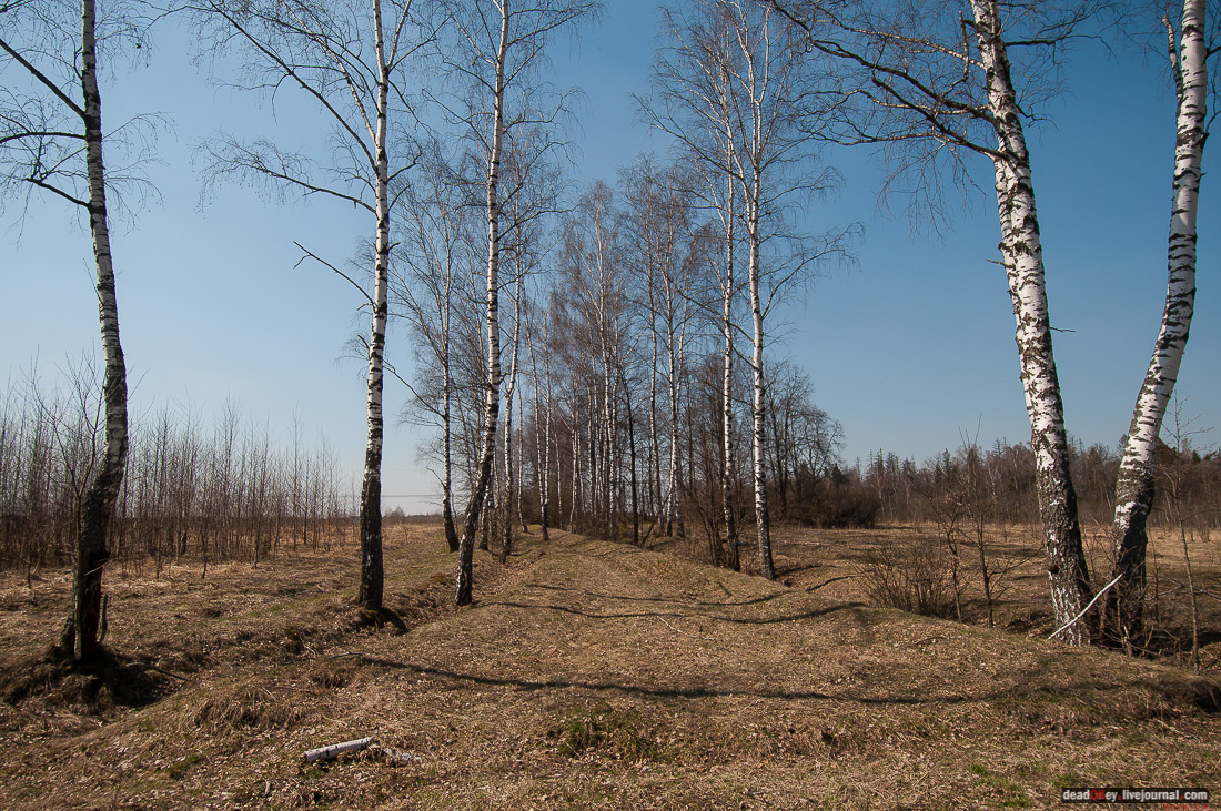 усадьба Савинское (исследование масонского парка)