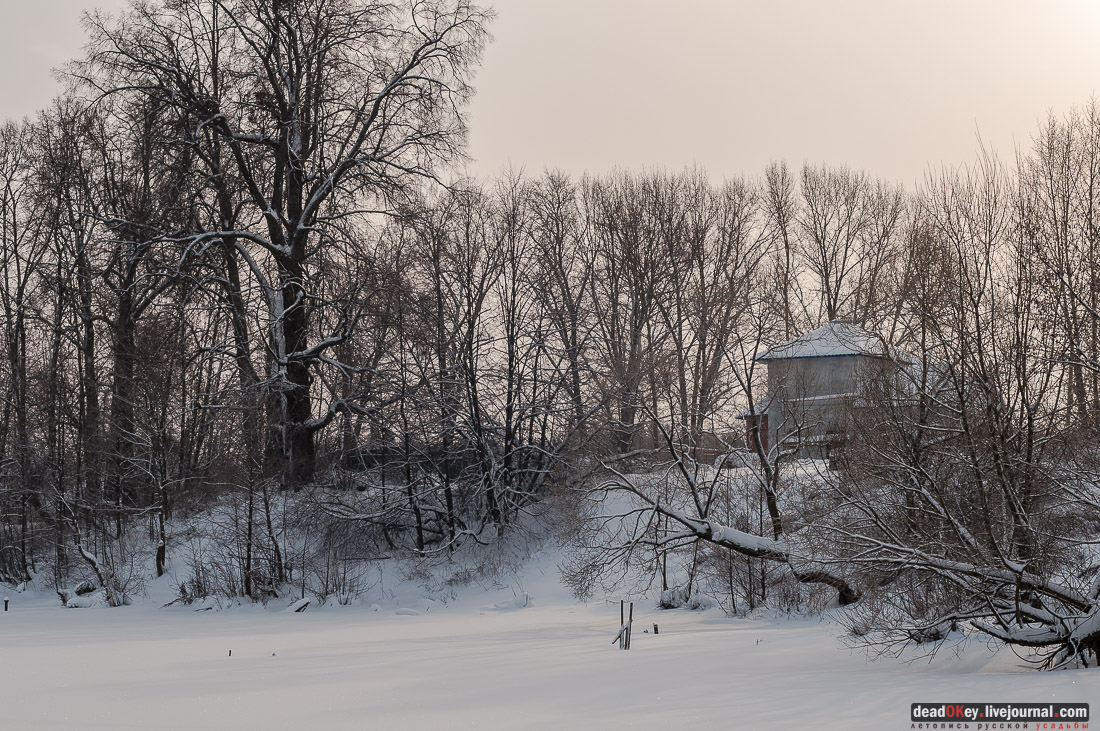 усадьба Васильевское-Скурыгино