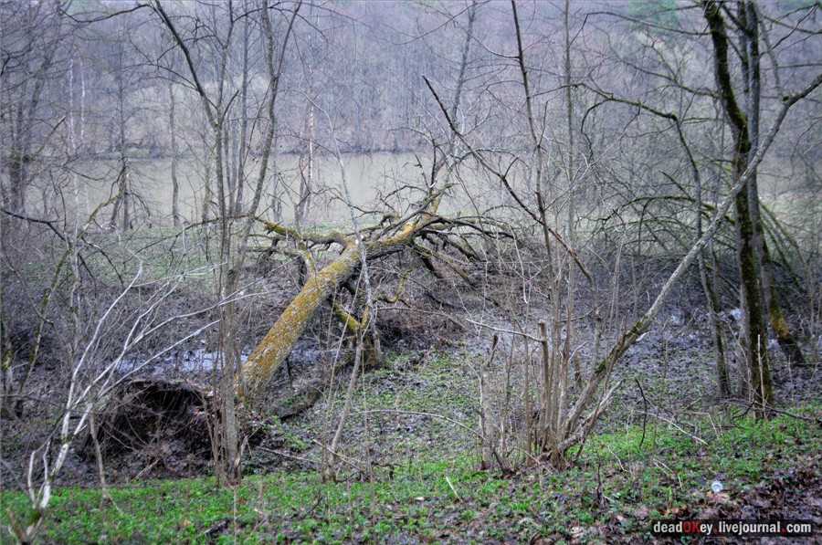 усадьба Полотняный Завод Гончаровых