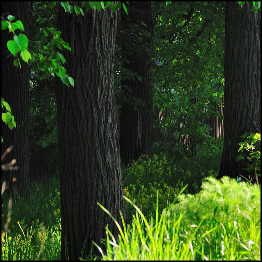 Парковые аллеи в русских усадьбах