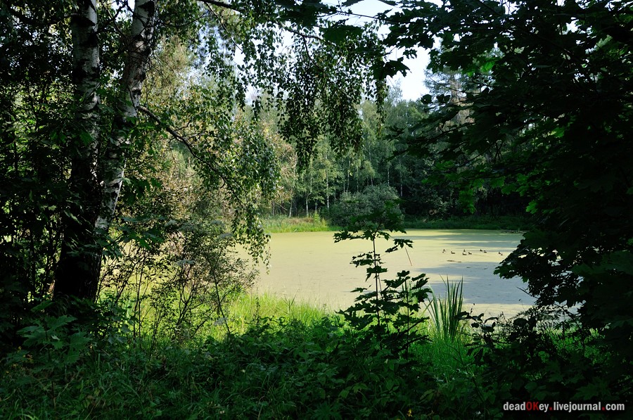 усадьба Пронино