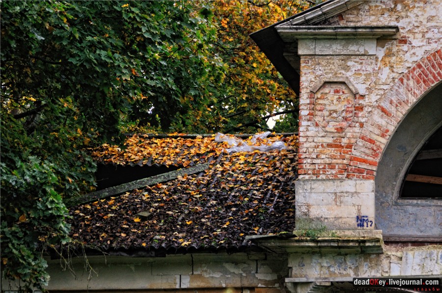 усадьба Ляхово