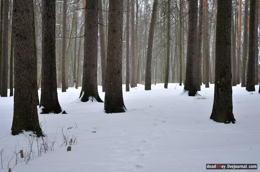 усадьба Остафьево