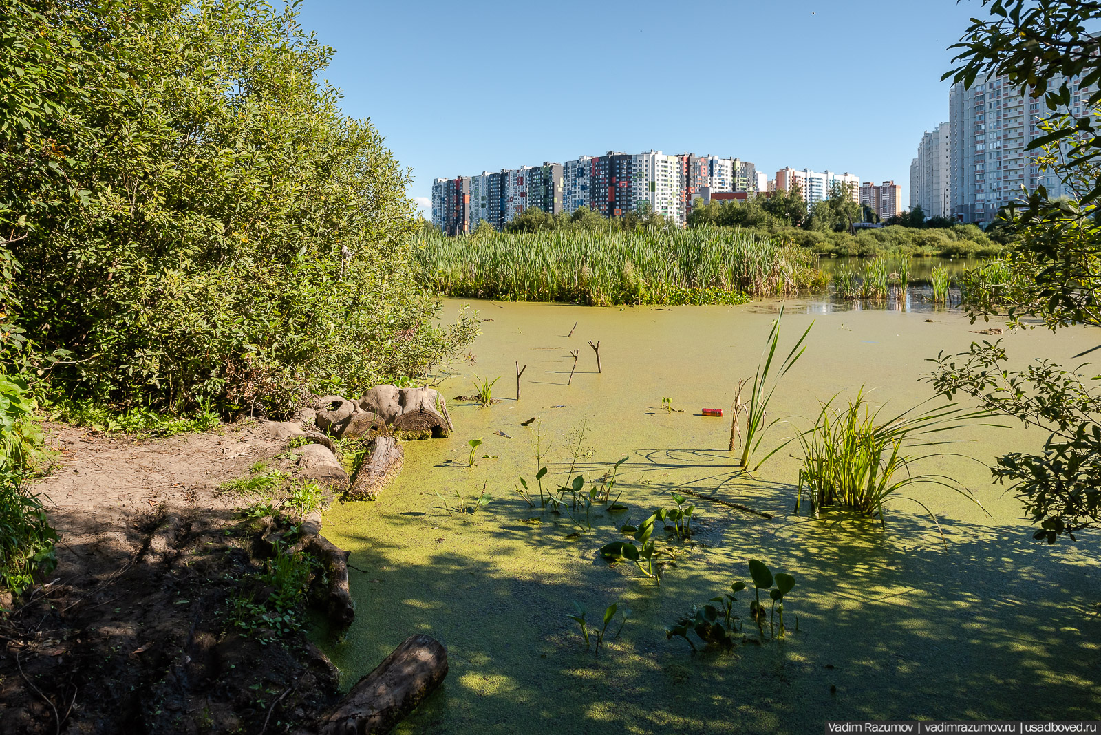 Усадьба Заболотье, парк, курганы, Долгопрудный, Москва