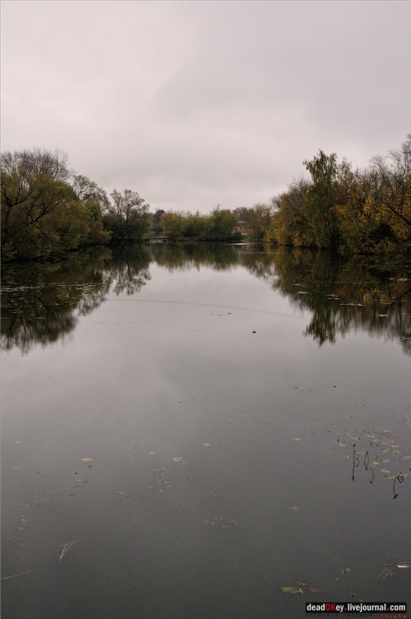 усадьба Сима