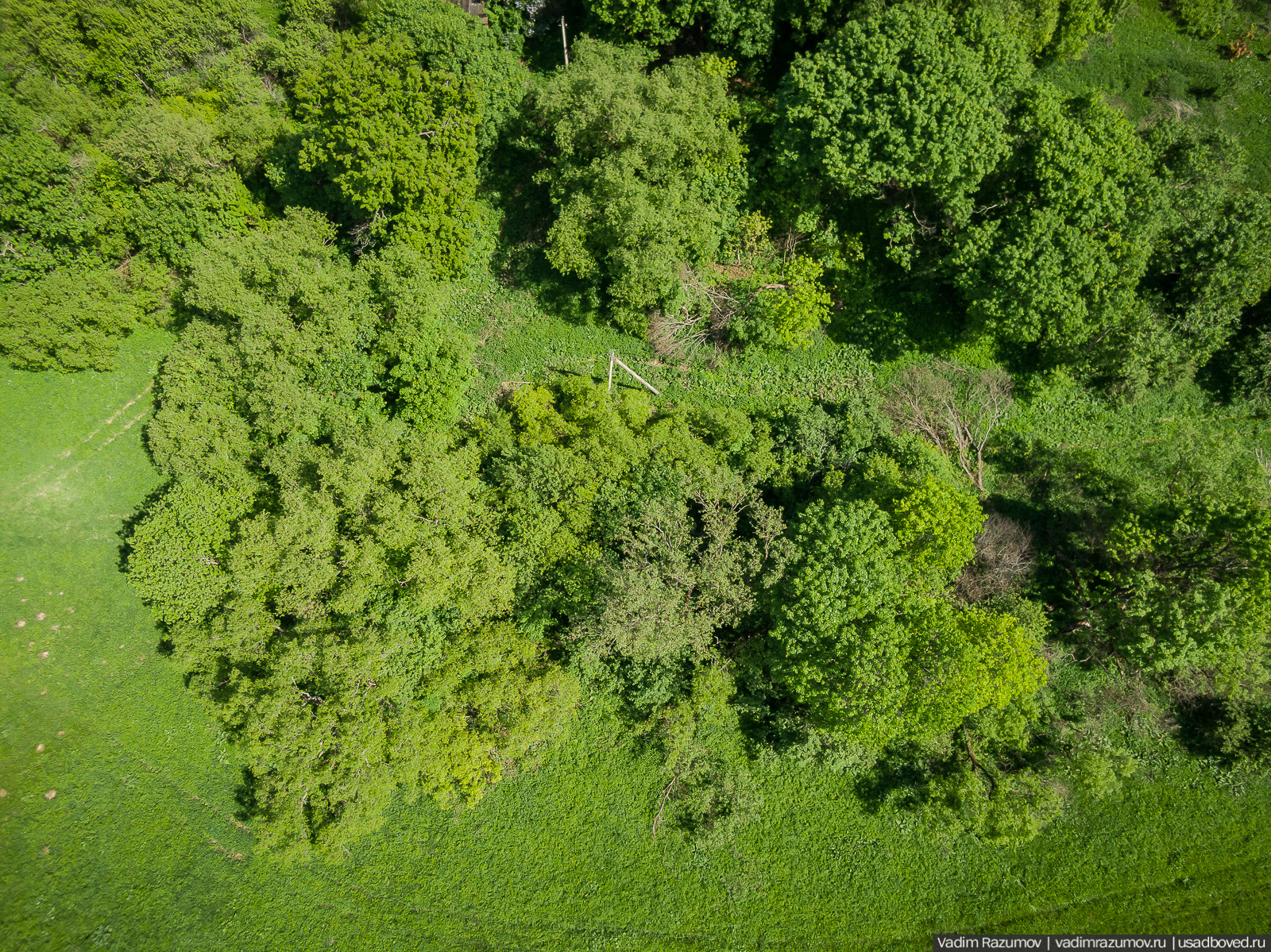 Старое Глазово, могила Василия Баженова, 2021 год