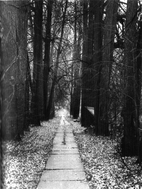 усадьба Богословское-Могильцы