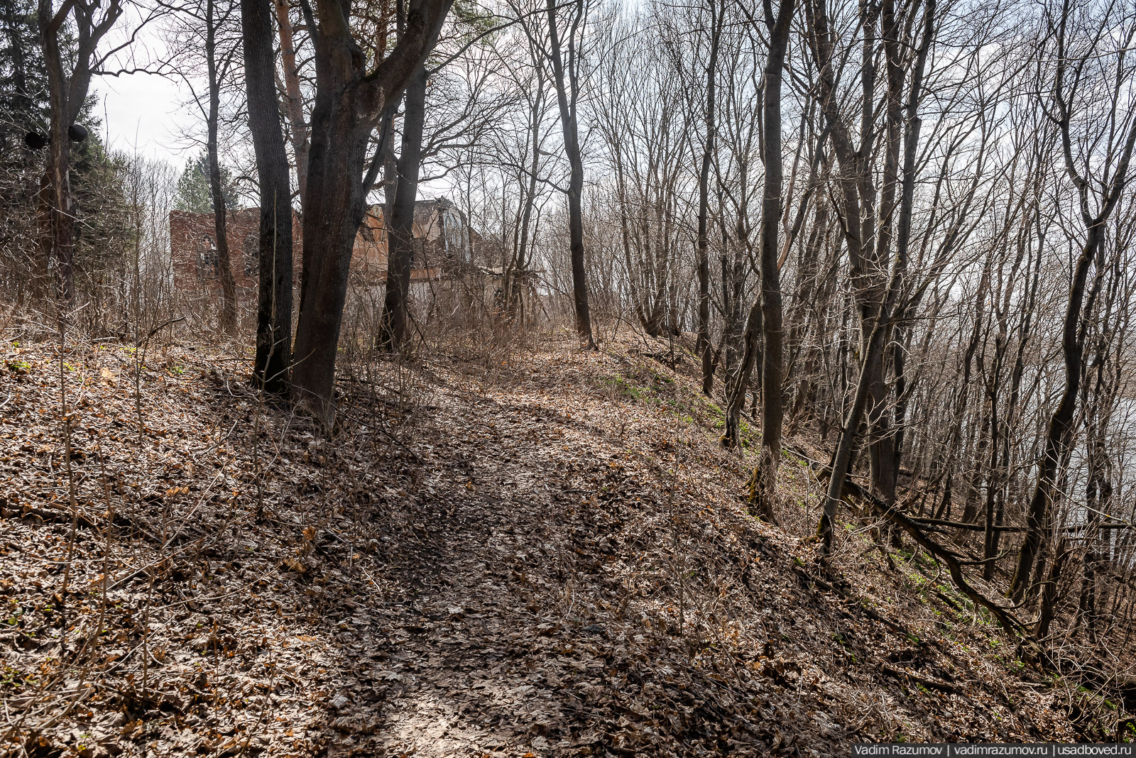 усадьба Шаталовка весной 2021 года, Липецкая область, Елец