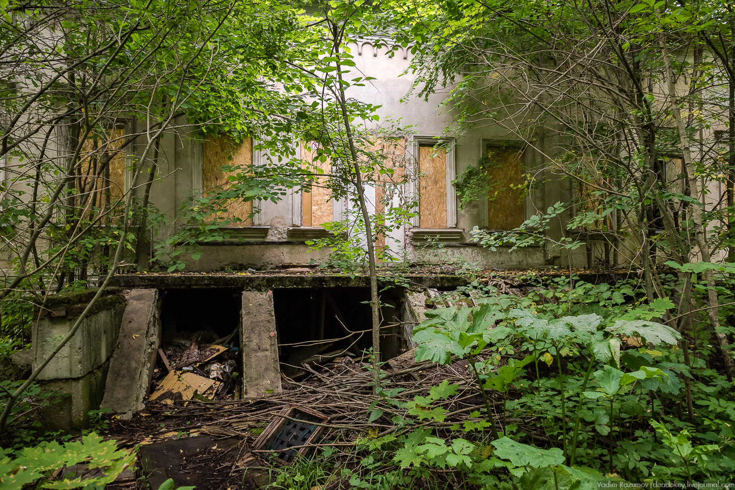 усадьба Никольское-Обольяниново, Усадебные волонтеры, субботник 17 августа 2019 года