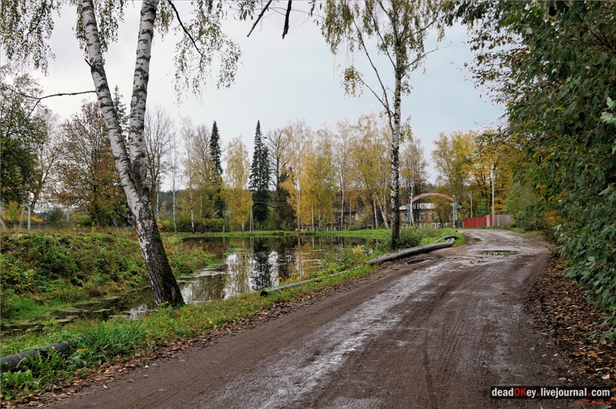 усадьба Лучки