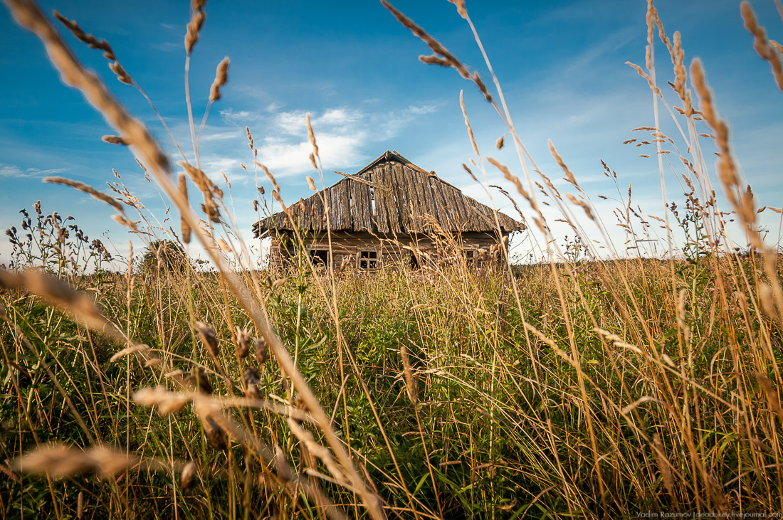 дер. Кучепалда, Архангельская обл.