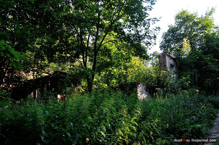 усадьба Шишкино