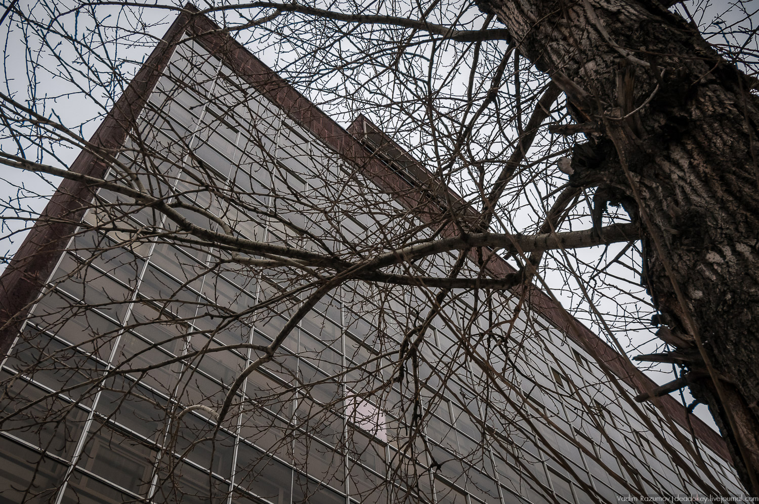 Здание Центросоюза, Ле Корбюзье, Росстат