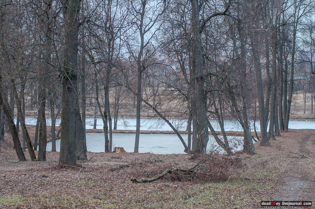 Лопасня-Зачатьевское