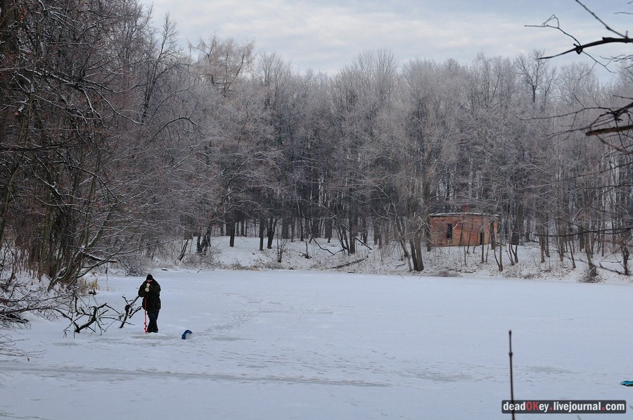 усадьба Быково