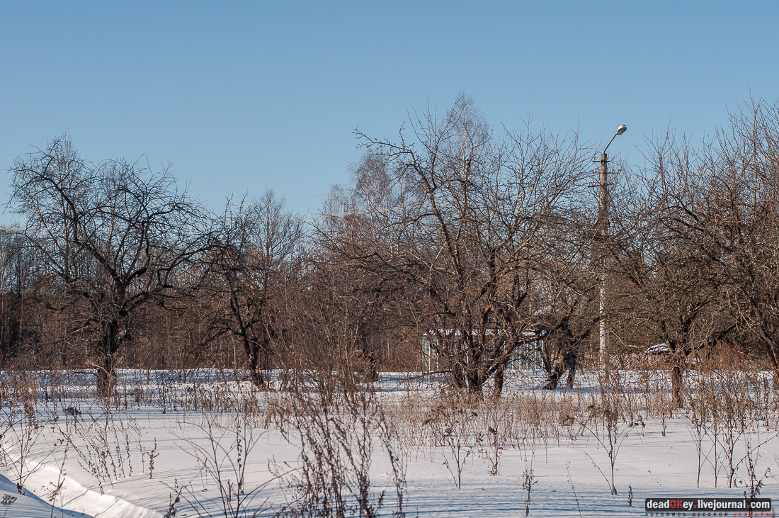 усадьба Ивановское-Козловское