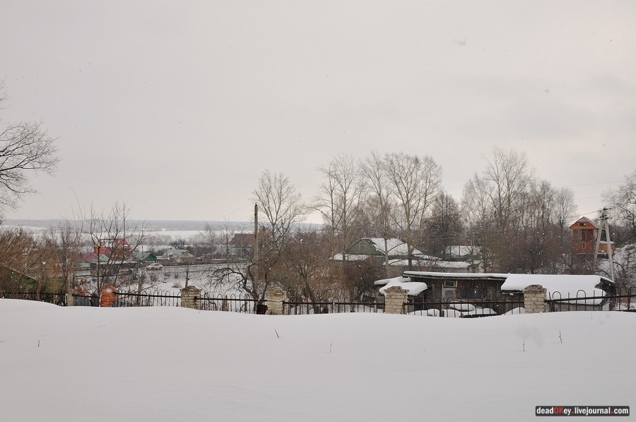 усадьба Кривцы