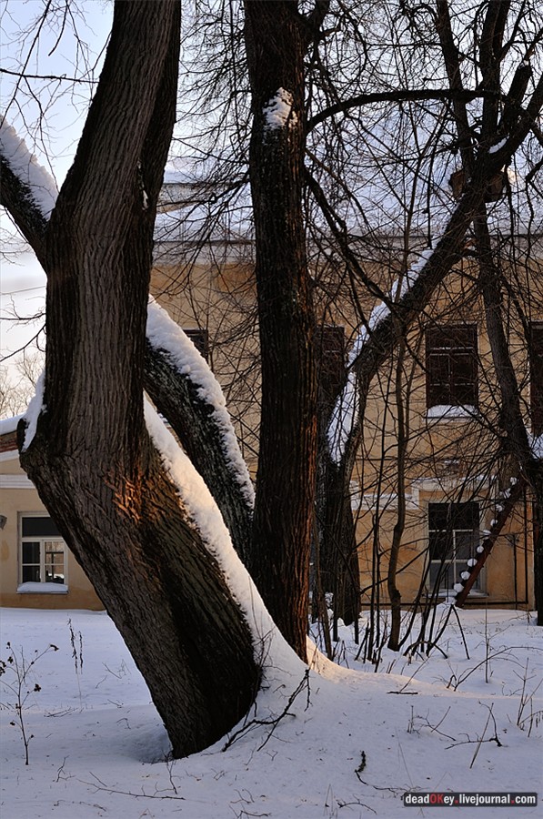 усадьба Андреевское