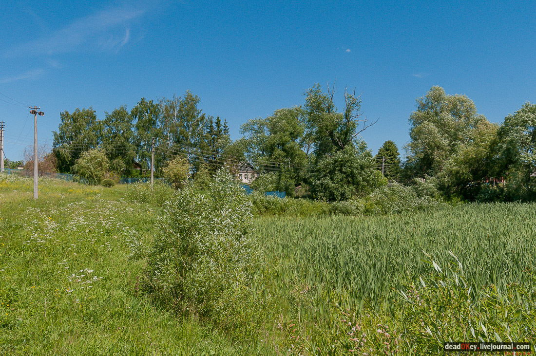 усадьба Мещерино