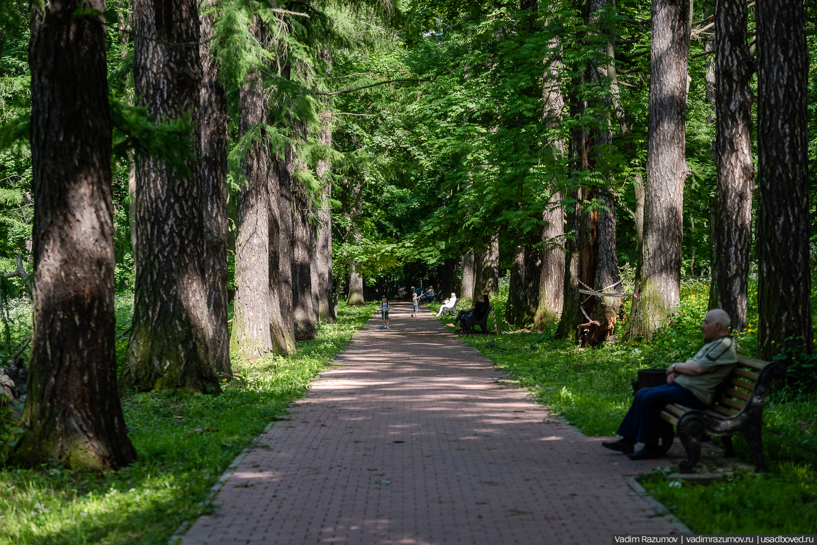 Богородицк, Тульская область