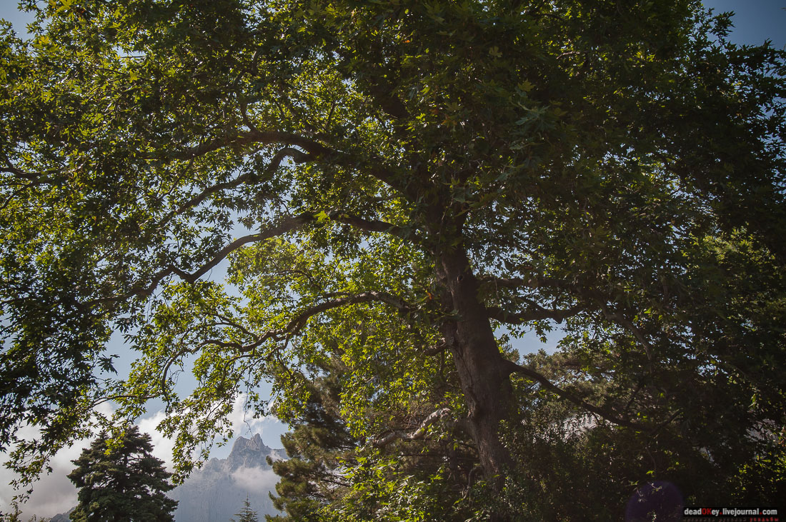 Юсуповский дворец в Кореизе, Крым